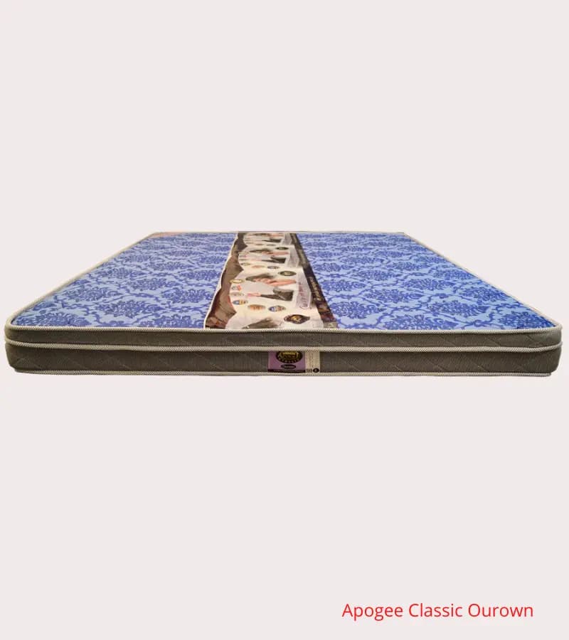 APOGEE CLASSIC OUROWN SPL (BT) image 3